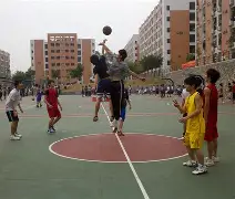 罗斯托克队全队齐心协力，为胜利而战的简单介绍