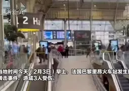 里昂顶住巴黎围剿，功败垂成
